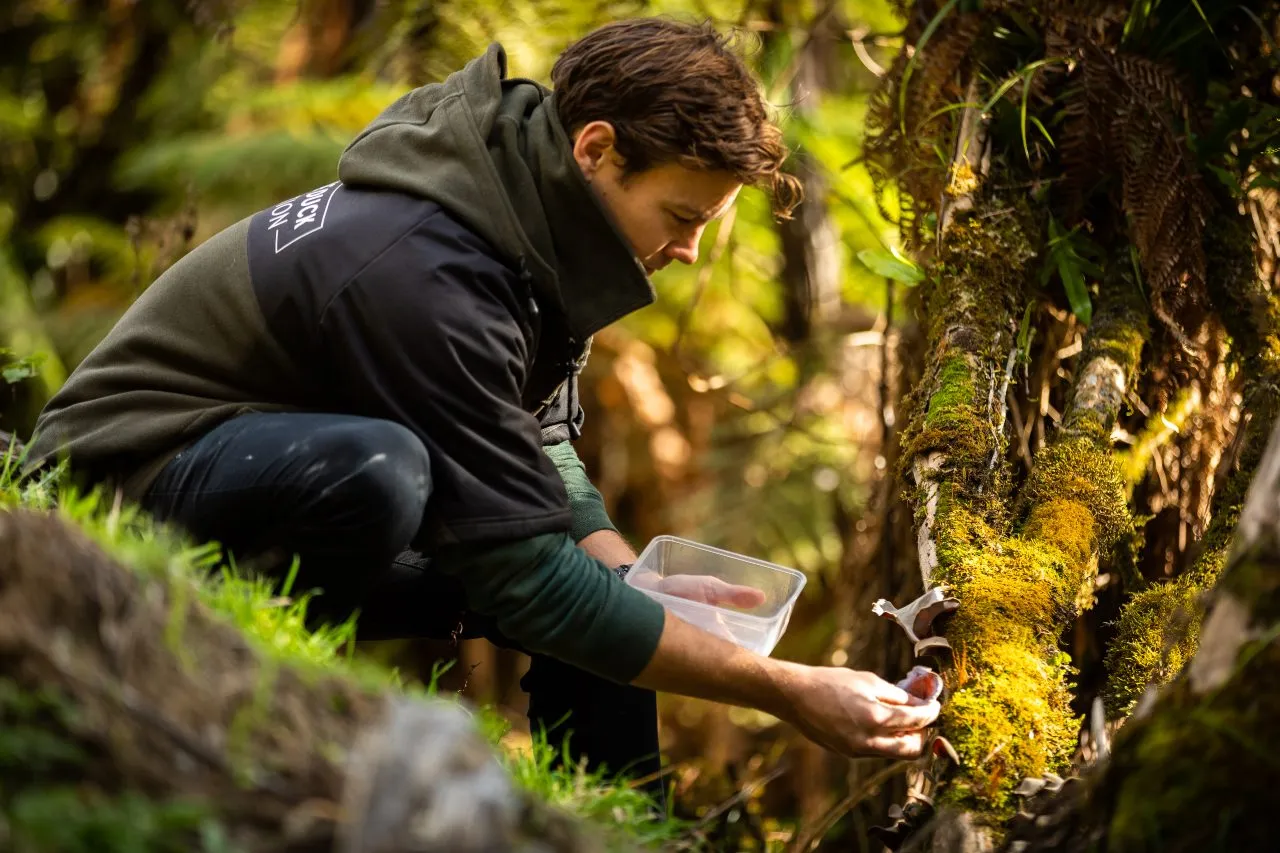 jack-cashmore-foraging-blue-duck-station-nz